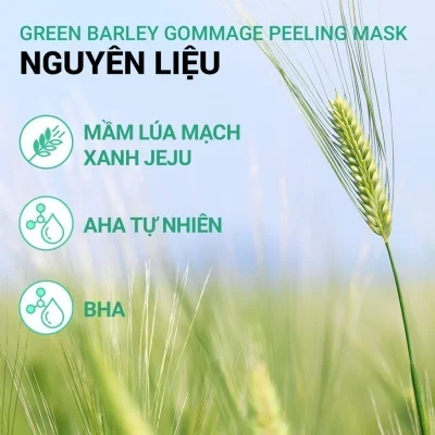 Tẩy tế bào da chết từ lúa mạch xanh innisfree Green Barley Gommage Mask 120ml Sunny Cosmetic